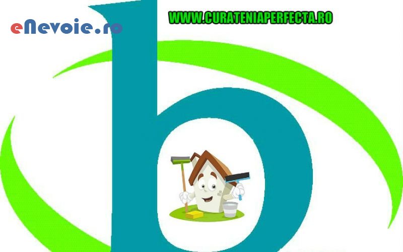 1curatenie-casa-si-gradina--sc-bogner-prest-srl-w.png