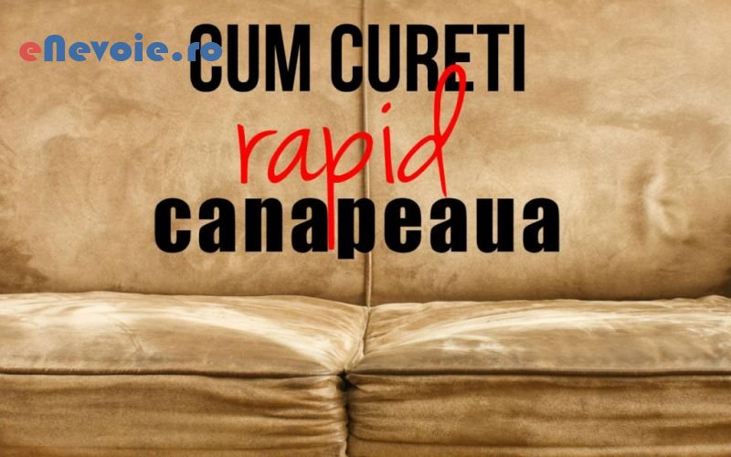 3curatenie-casa-si-gradina--sc-bogner-prest-srl-v.png