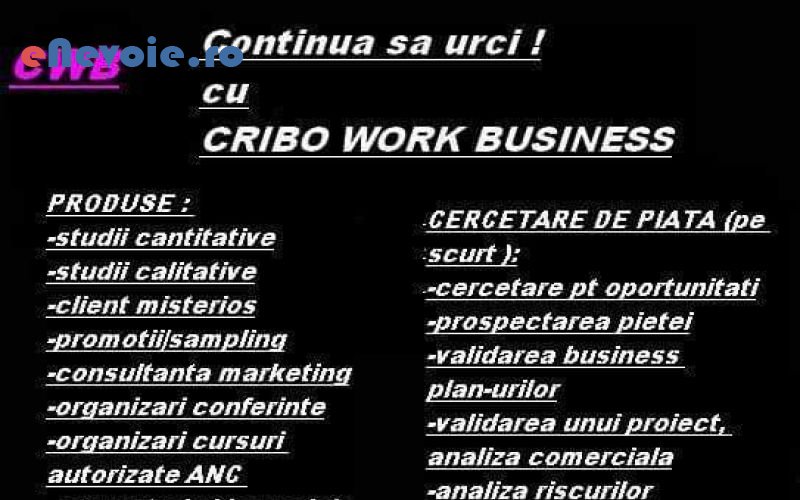 1consultanta-in-afaceri-consultanta-contabilitate-it--sc-cribo-work.png