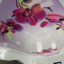 Avatar profil-utilizator/sc-eco-dream-team-srl-9099-d5/sc-eco-dream-montare-si-intretinere-parchet-design-interior-amenajari-interioare-casa-si-gradina--20200225142202.png