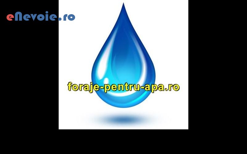 2foraj-puturi-constructii--sc-format-srl.png