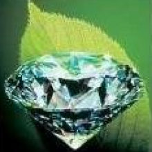 Avatar profil-utilizator/sc-majordom-agent-de-asigurare-srl-0330-e0/sc-majordom-agent-de-asigurare-srl-imprumuturi-bancare-consultanta-in-asigurari-servicii-financiare-si-asigurari--20171031101014.png