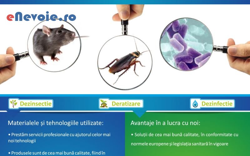 3dezinsectie-si-deratizare-casa-si-gradina--sc-partizan-eco.png