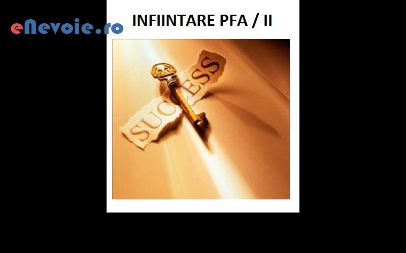 3infiintare-societati-consultanta-juridica-consultanta-contabilitate-it--sc-pinamix-so.png