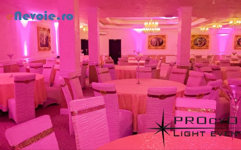 6petreceri-tematice-fum-greu-gheata-carbonica-sonorizare-si-lumini-inchirieri-accesorii-evenimente-organizari-evenimente--sc-procyon-sy.png