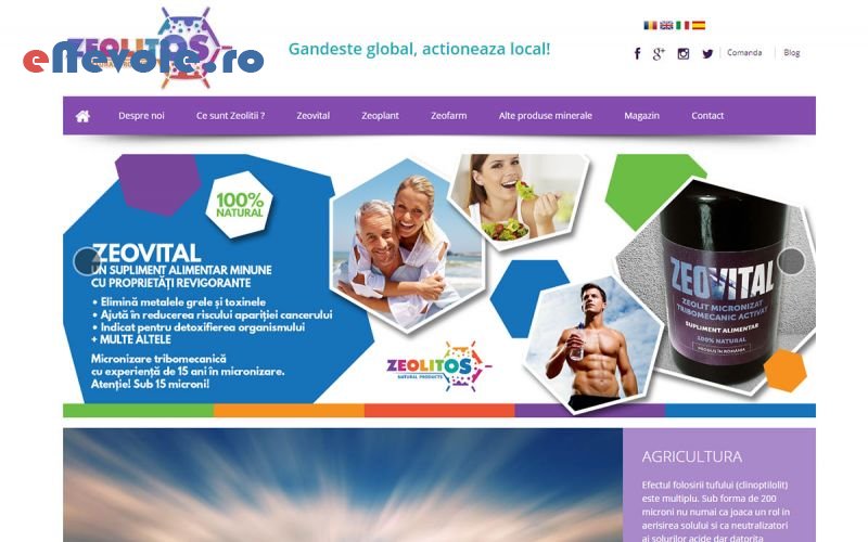 5creare-website-uri-consultanta-contabilitate-it--sc-websto-cenj.png