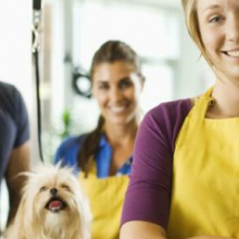 Avatar profil-utilizator/scoalacanina@yahoo.com/scoalacanina@yahoo.com20160731180605.png