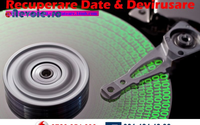 Imagine din portofoliu de lucrari